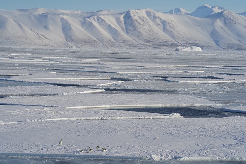 Antarctica